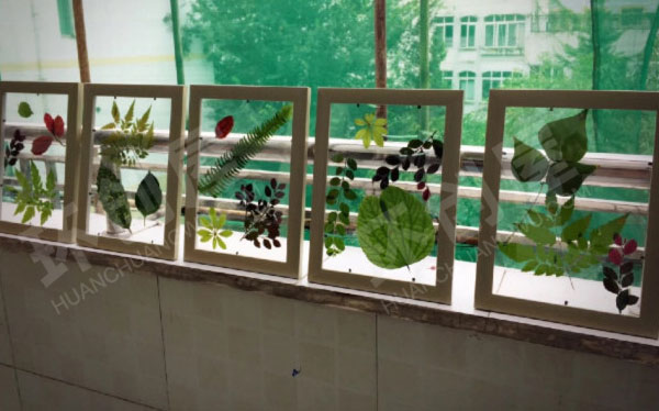 幼儿园废物利用窗台树叶裱花树叶装饰图片