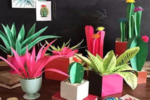 幼儿园美工区春天里的仙人掌图片6张