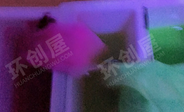 幼儿园科学区环创会爬的水图片