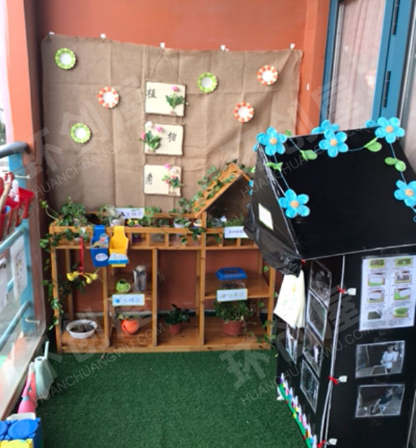 幼儿园科学区环创豆芽发芽图片