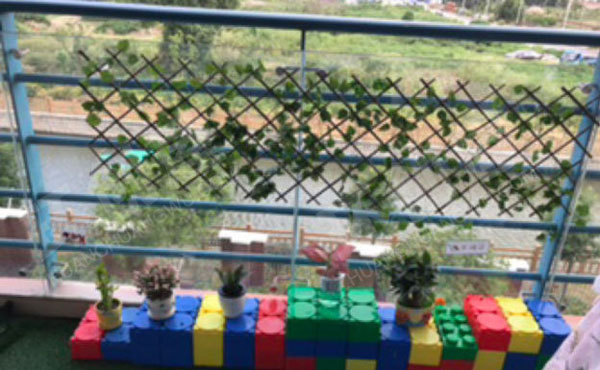 幼儿园科学区环创豆芽发芽图片