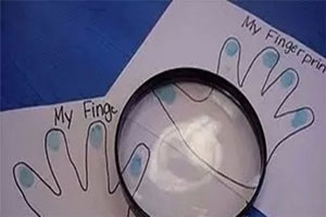 幼儿园益智区放大镜观察指纹图片