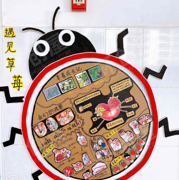 幼儿园水果真好吃墙面装饰作品展示图片