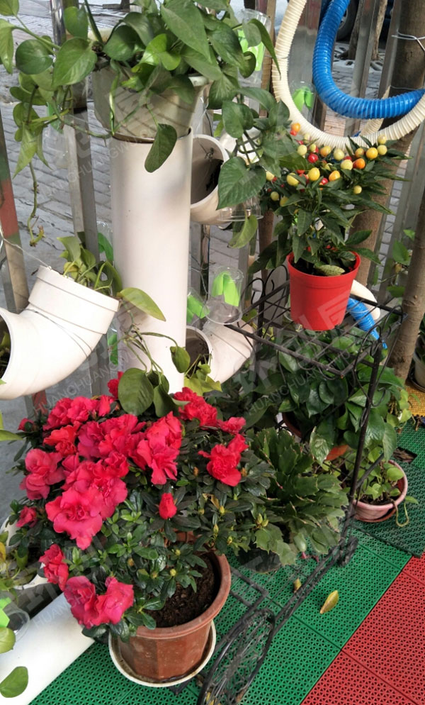 幼儿园户外环创绿色植物红色花装饰图片