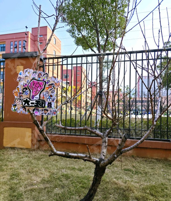 幼儿园户外环创小树上的班级树牌图片