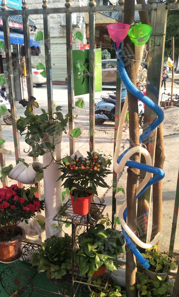 幼儿园户外环创绿色植物红色花装饰图片