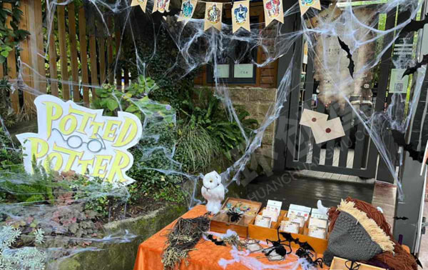 幼儿园户外环创万圣节小游戏图片