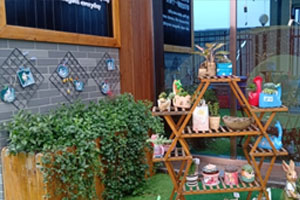 幼儿园户外环创植物角小盆栽图片2张