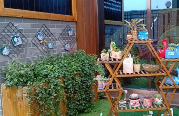 幼儿园户外环创植物角小盆栽图片