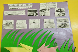 幼儿园阅读区自制绘本逃家小兔图片