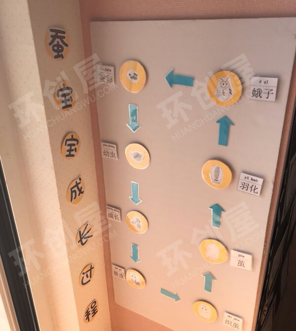 幼儿园科学区蚕宝宝的成长过程图片