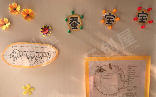 幼儿园科学区蚕宝宝的成长过程图片