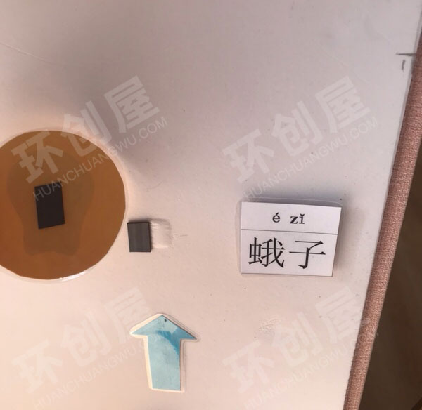 幼儿园科学区蚕宝宝的成长过程图片