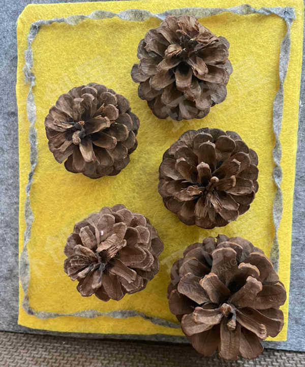 幼儿园益智区无触不在触摸墙图片