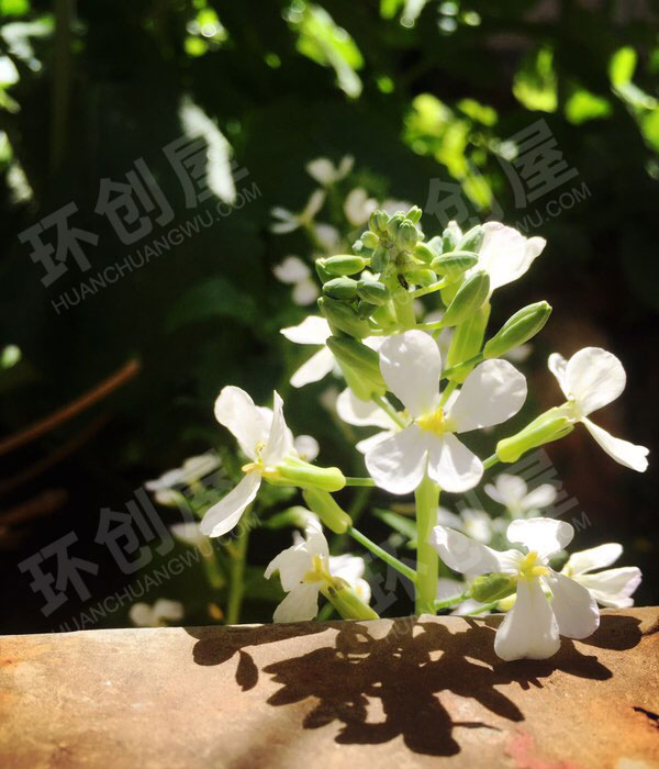 幼儿园舒适的春天美景户外环创图片