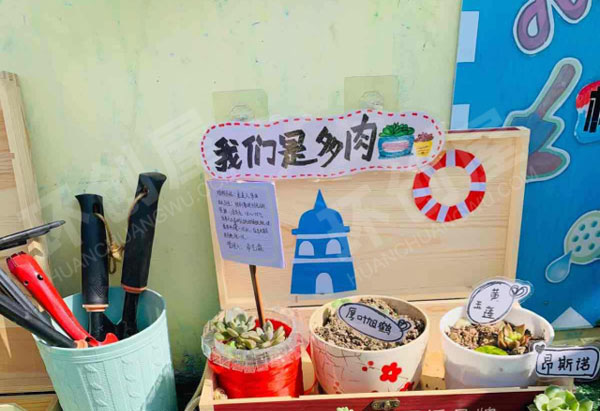 幼儿园植物角和饲养区户外环创图片