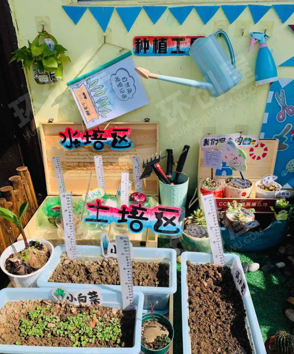 幼儿园植物角和饲养区户外环创图片
