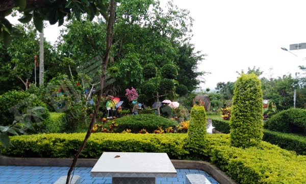 幼儿园被花包围的户外环境图片