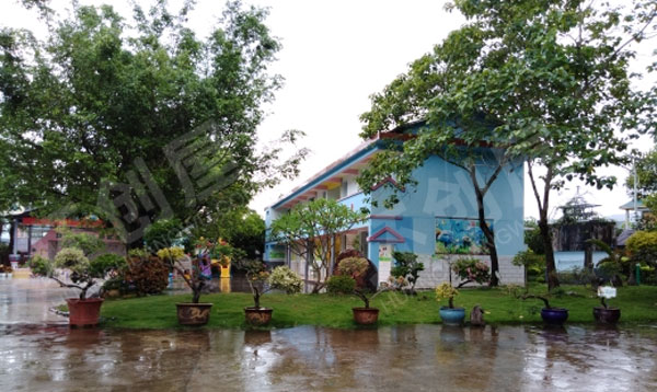 幼儿园被花包围的户外环境图片