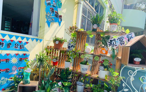 幼儿园植物角和饲养区户外环创图片