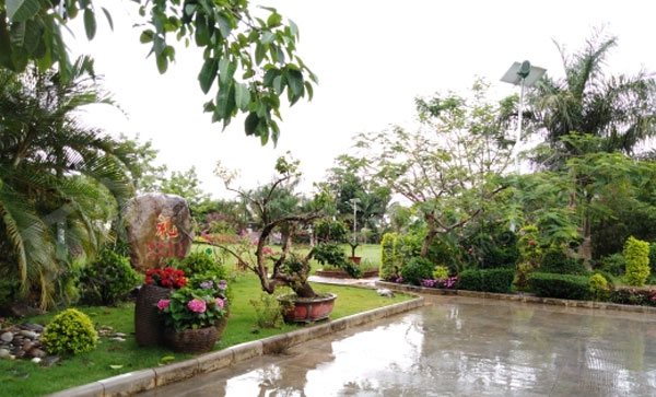 幼儿园被花包围的户外环境图片