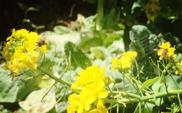 幼儿园舒适的春天美景户外环创图片