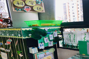幼儿园科探区各种科学实验报告挂起环创图片