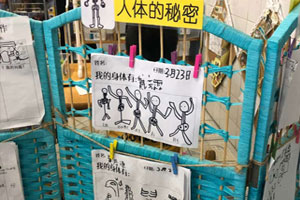 幼儿园科探区人体的秘密环创图片