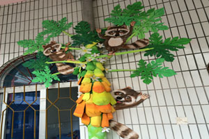 幼儿园水管热带植物园之木瓜树走廊环创图片4张