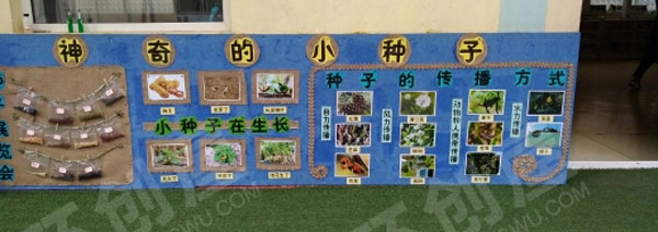 幼儿园户外环创植物角神奇的小种子图片