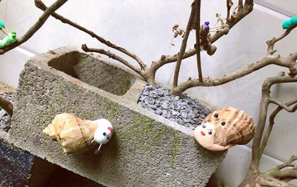 幼儿园户外废物利用纸盒木片墙面蜗牛环创图片