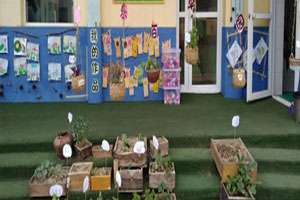 幼儿园户外环创植物角神奇的小种子图片