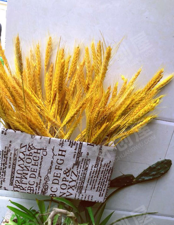 幼儿园户外废物利用纸盒木片墙面蜗牛环创图片