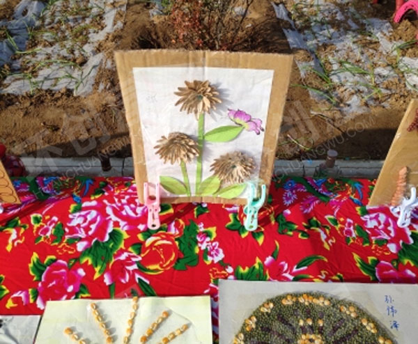 幼儿园户外环创种子粘贴画作品展示图片