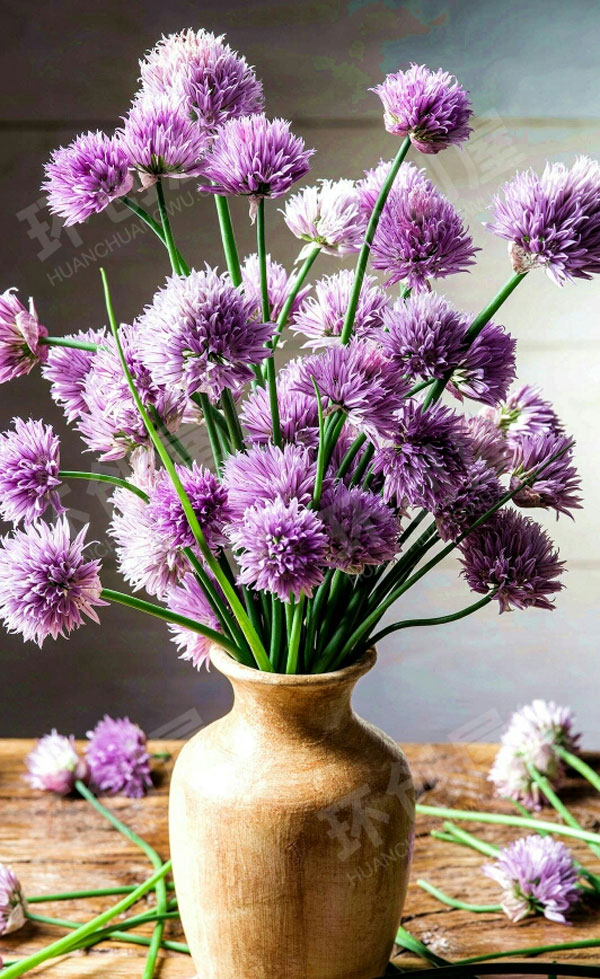 幼儿园户外环创美美的植物图片