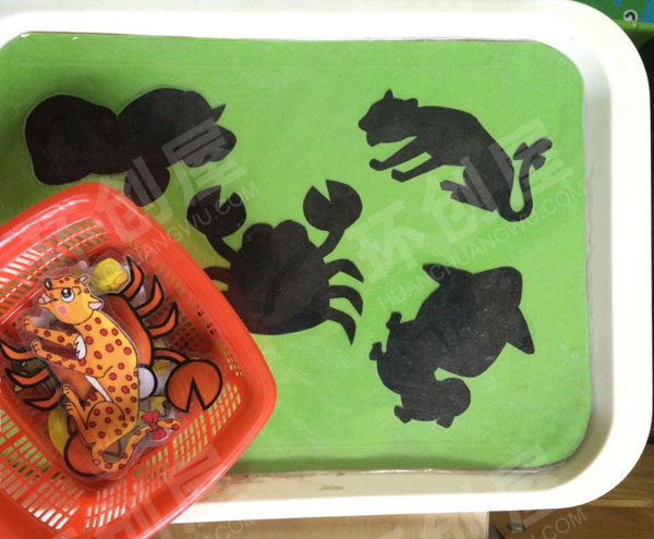 幼儿园科学区动物的影子图片