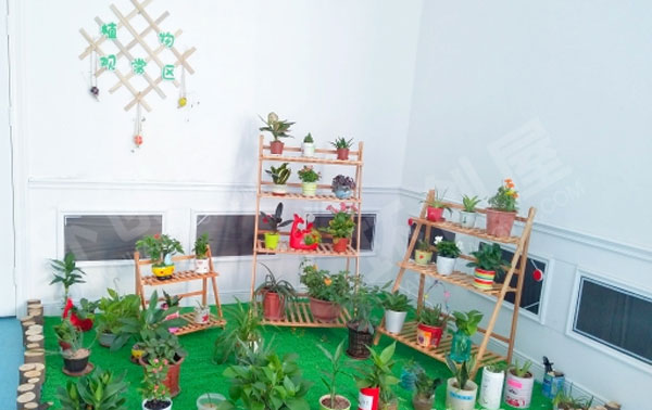 幼儿园走廊自然角小清新布置环创图片