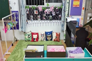 幼儿园阅读区废物利用绿色小清新环创图片