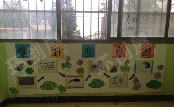 幼儿园科学区墙面蝌蚪变青蛙环创图片