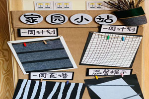幼儿园简约风家园栏家园联系栏图片
