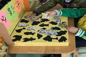 幼儿园益智区找影子环创图片2张