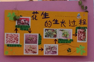 幼儿园户外小菜园蔬菜吊饰环创图片7张