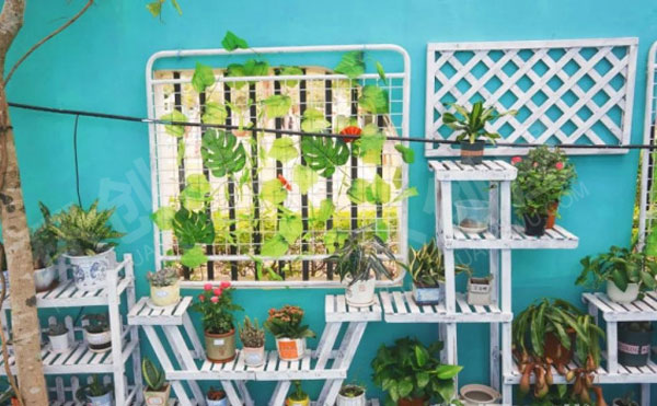 幼儿园户外长颈鹿植物园里的角色游戏环创图片