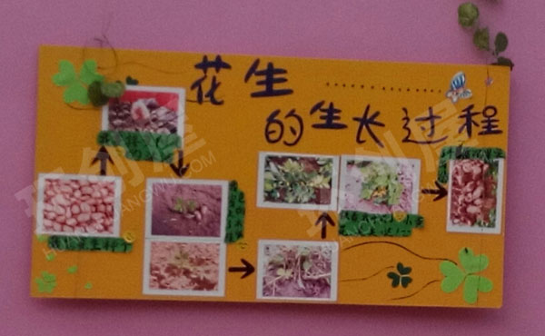 幼儿园户外小菜园蔬菜吊饰环创图片