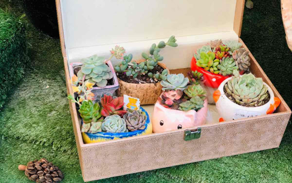 幼儿园户外二十四节气春分植物角装饰环创图片