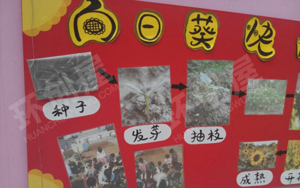 幼儿园户外小菜园蔬菜吊饰环创图片
