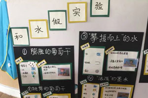幼儿园科学区和水做实验环创图片