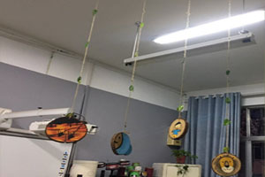 幼儿园区域空间间隔自然材料吊挂饰图片5张