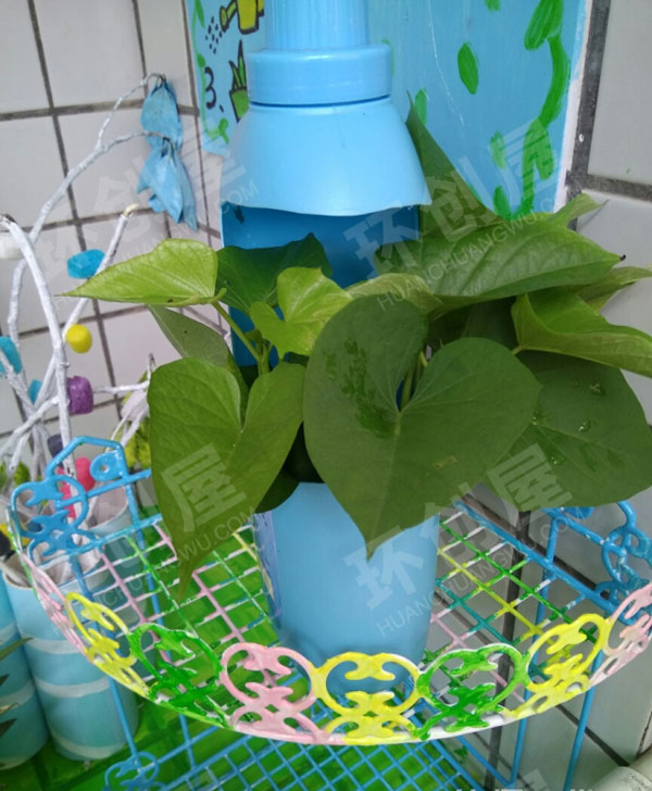幼儿园户外植物区花枝招展环创图片