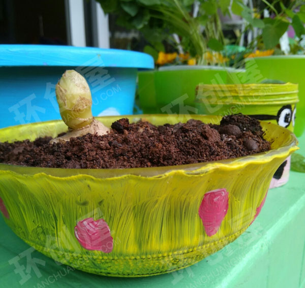 幼儿园户外植物区花枝招展环创图片